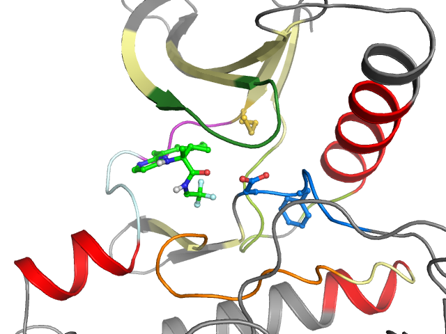 The orthosteric binding pocket