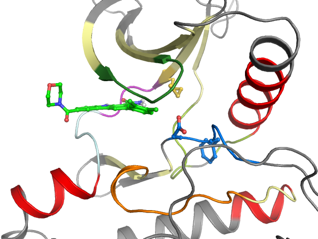 The orthosteric binding pocket