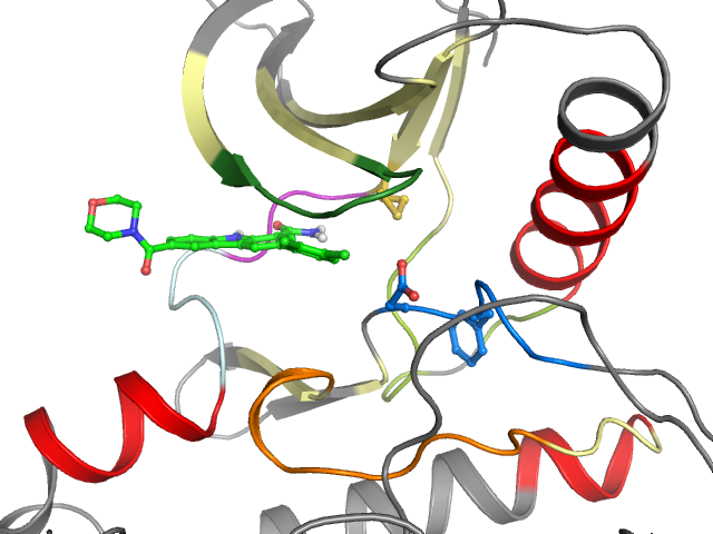 The orthosteric binding pocket