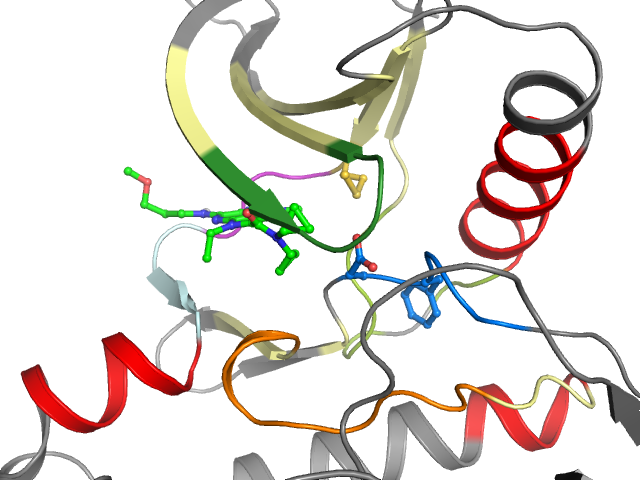 The orthosteric binding pocket