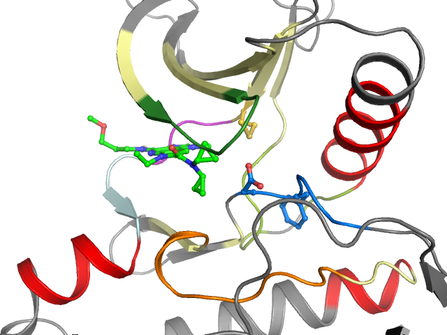 The orthosteric binding pocket