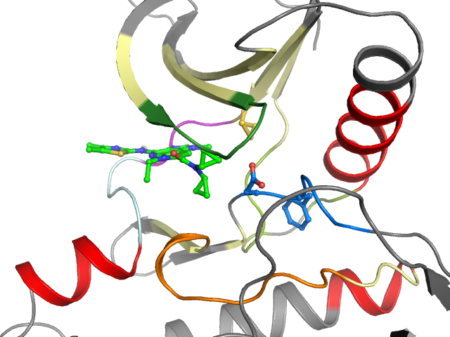 The orthosteric binding pocket