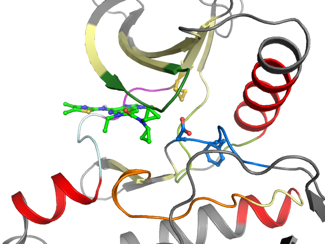 The orthosteric binding pocket