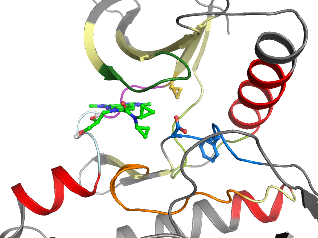 The orthosteric binding pocket