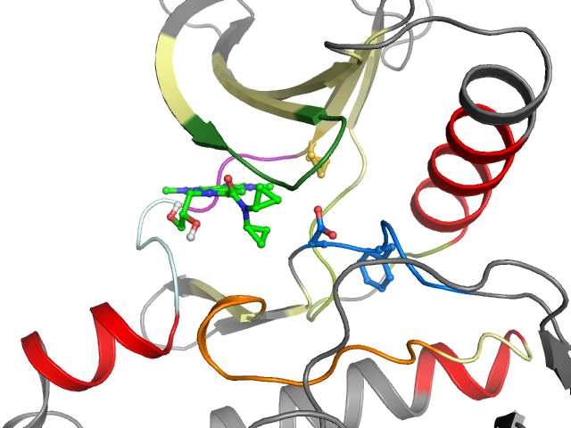 The orthosteric binding pocket