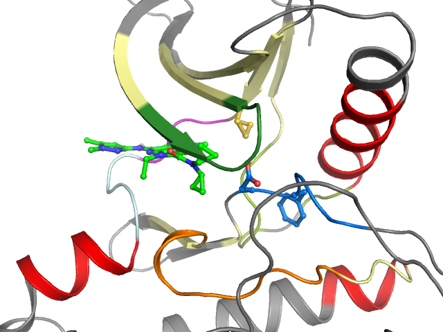 The orthosteric binding pocket