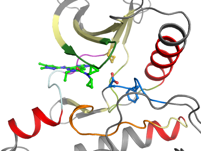 The orthosteric binding pocket