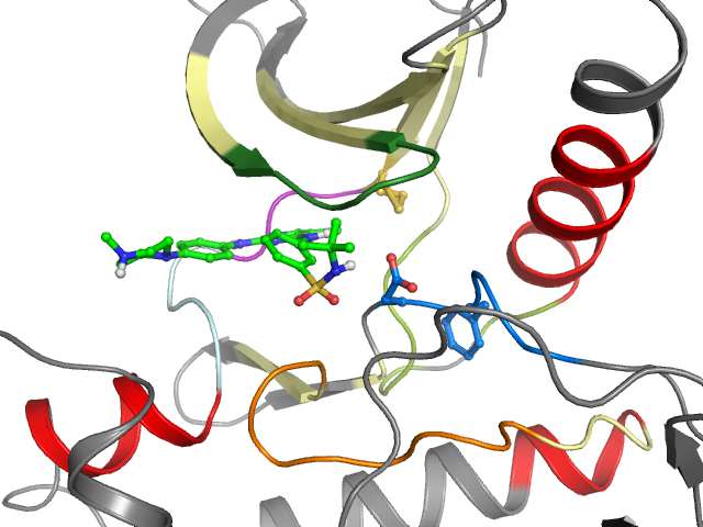 The orthosteric binding pocket