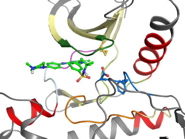 The orthosteric binding pocket