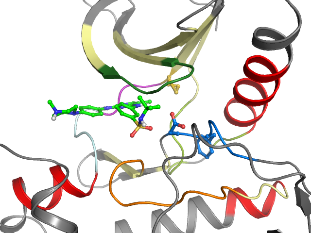 The orthosteric binding pocket