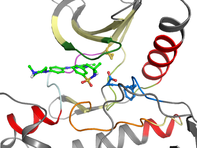 The orthosteric binding pocket