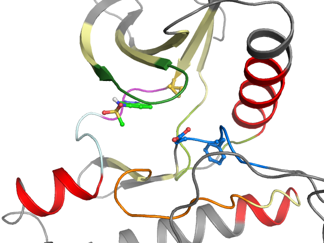 The orthosteric binding pocket