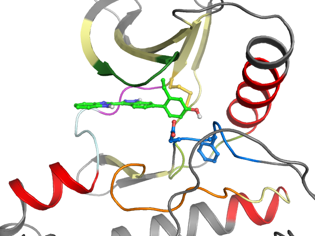 The orthosteric binding pocket