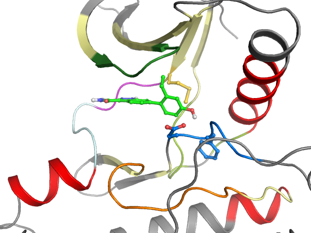 The orthosteric binding pocket