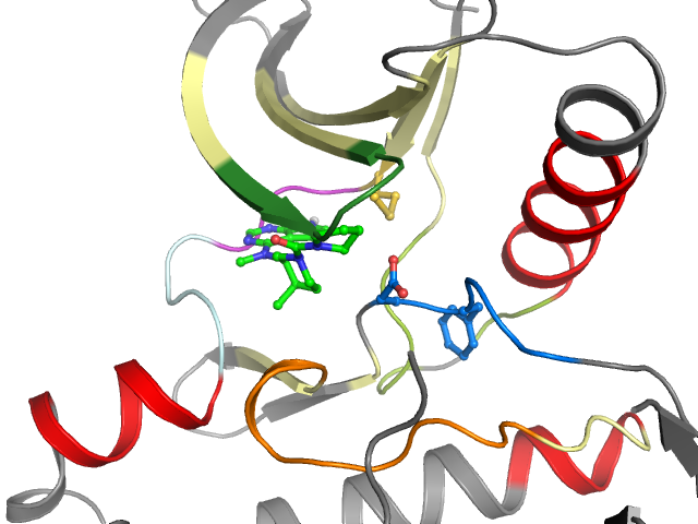 The orthosteric binding pocket