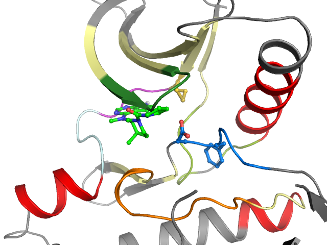 The orthosteric binding pocket