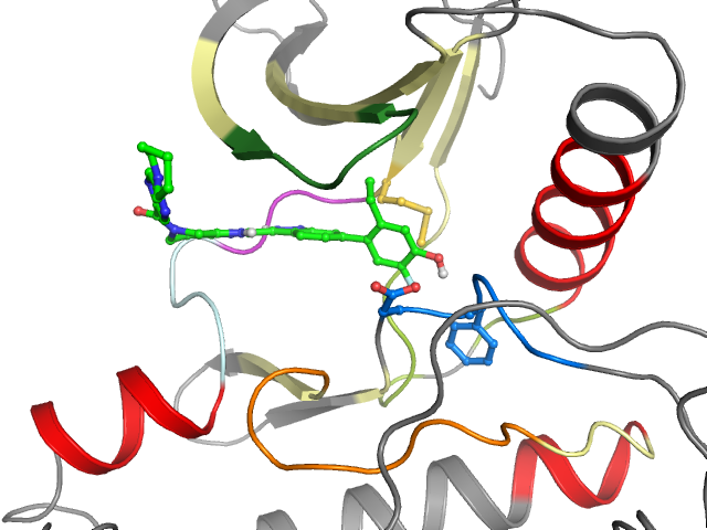 The orthosteric binding pocket