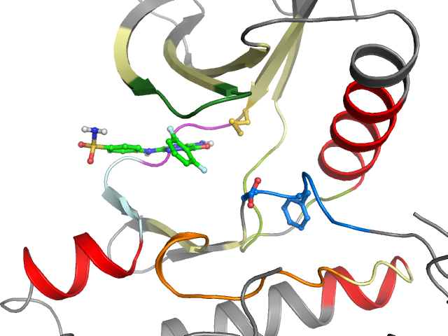 The orthosteric binding pocket