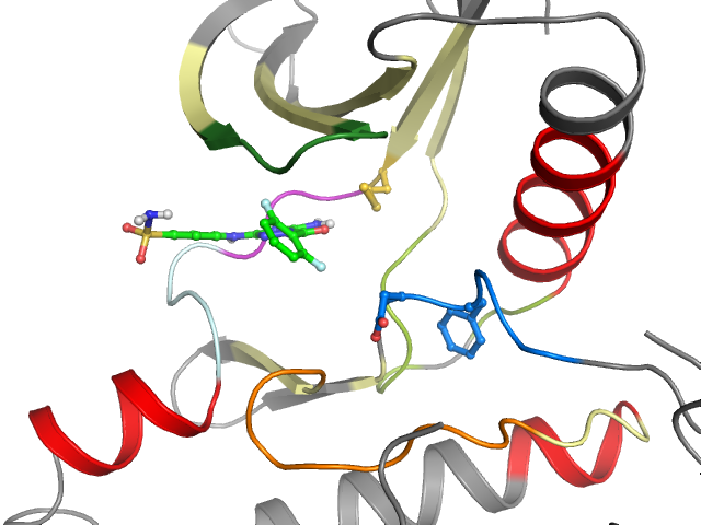 The orthosteric binding pocket
