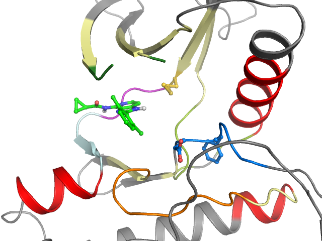 The orthosteric binding pocket