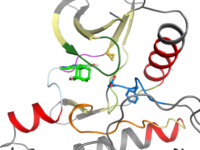 The orthosteric binding pocket