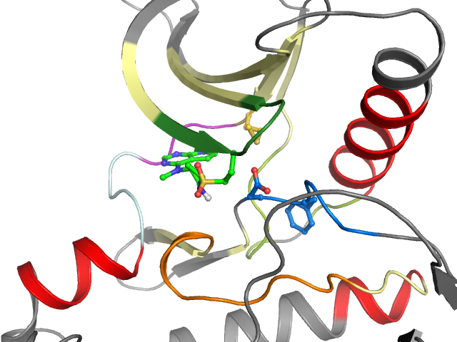 The orthosteric binding pocket