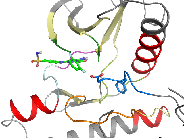The orthosteric binding pocket