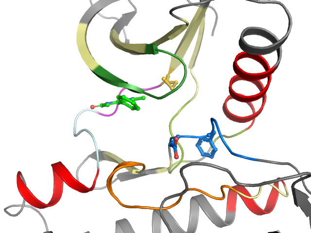The orthosteric binding pocket