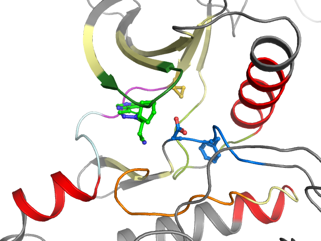 The orthosteric binding pocket