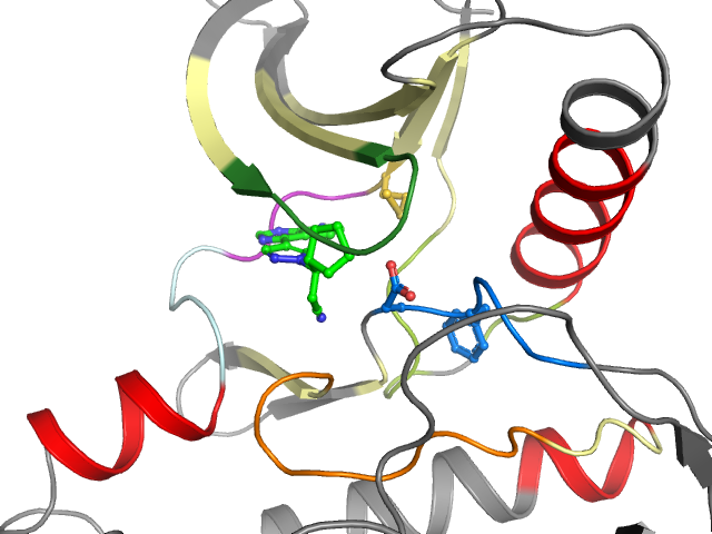 The orthosteric binding pocket
