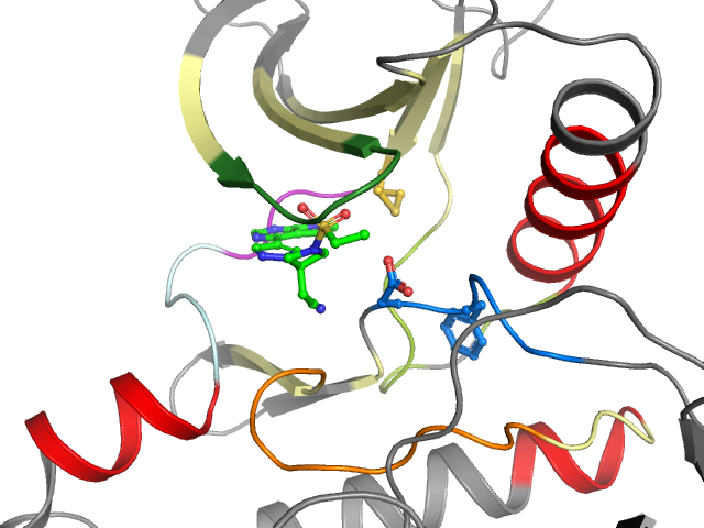 The orthosteric binding pocket