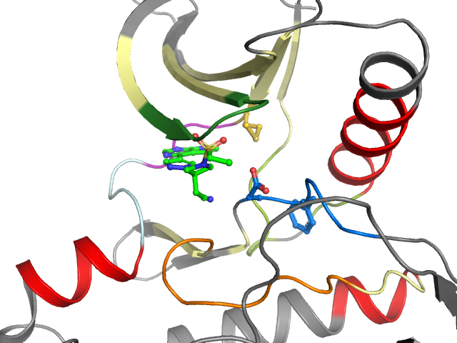 The orthosteric binding pocket