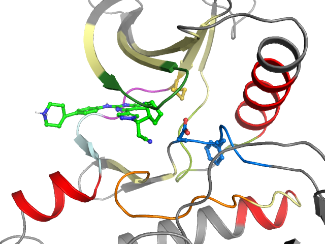 The orthosteric binding pocket