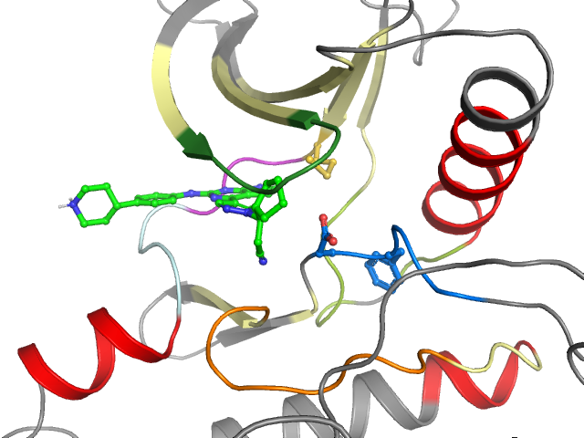 The orthosteric binding pocket