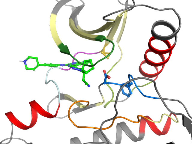 The orthosteric binding pocket