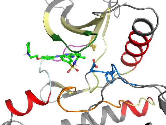 The orthosteric binding pocket