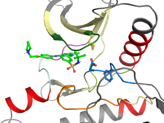 The orthosteric binding pocket