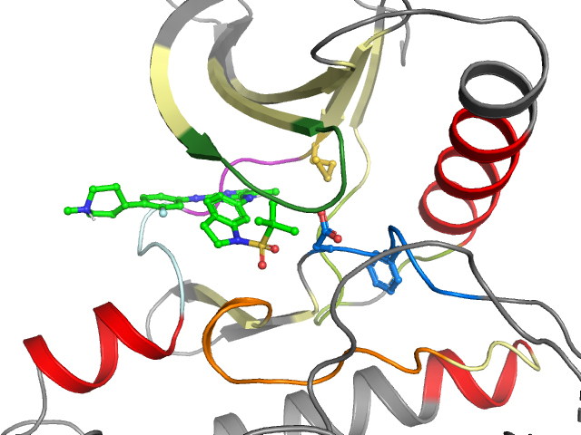 The orthosteric binding pocket