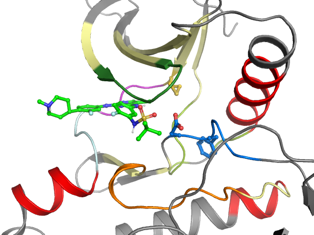 The orthosteric binding pocket