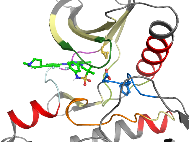 The orthosteric binding pocket