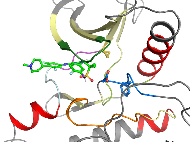 The orthosteric binding pocket