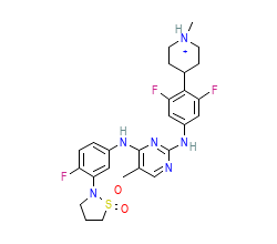 2D structure of the orthosteric ligand