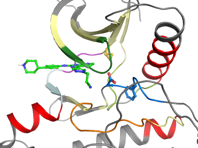 The orthosteric binding pocket