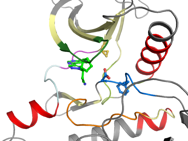 The orthosteric binding pocket