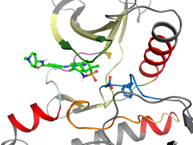 The orthosteric binding pocket
