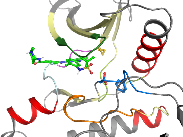 The orthosteric binding pocket