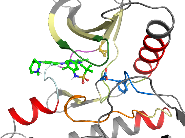 The orthosteric binding pocket