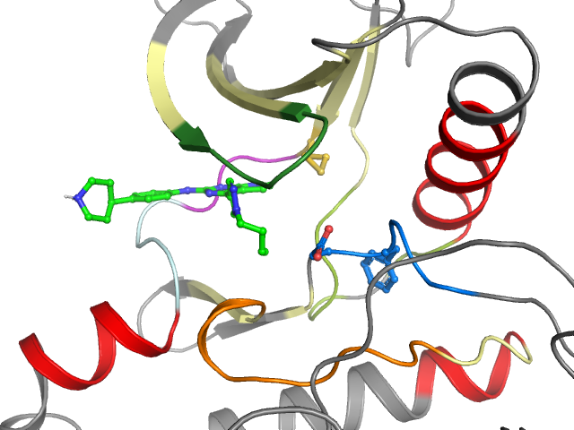 The orthosteric binding pocket