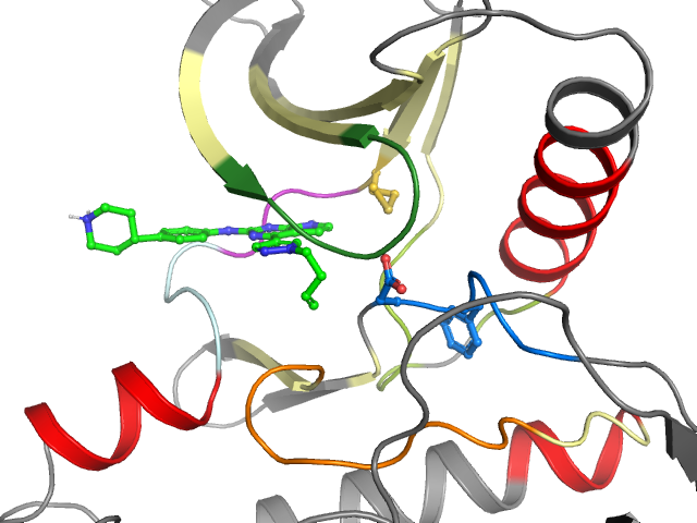 The orthosteric binding pocket