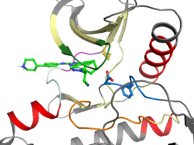 The orthosteric binding pocket